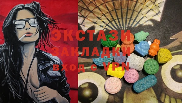 дживик Каменка